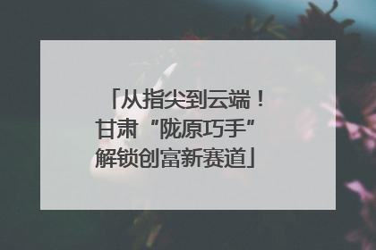 从指尖到云端！甘肃“陇原巧手”解锁创富新赛道