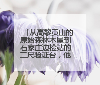 从高黎贡山的原始森林木屋到石家庄边检站的三尺验证台，他用18年的青春丈量祖国的边境线
