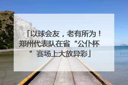 以球会友，老有所为！郑州代表队在省“公仆杯”赛场上大放异彩