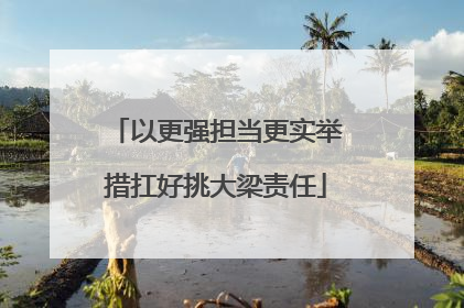 以更强担当更实举措扛好挑大梁责任
