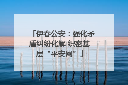 伊春公安：强化矛盾纠纷化解 织密基层“平安网”