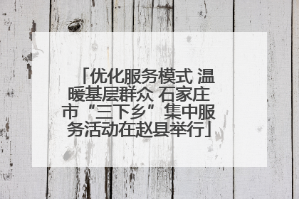 优化服务模式 温暖基层群众 石家庄市“三下乡”集中服务活动在赵县举行