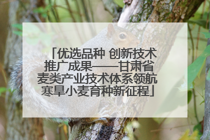 优选品种 创新技术 推广成果——甘肃省麦类产业技术体系领航寒旱小麦育种新征程