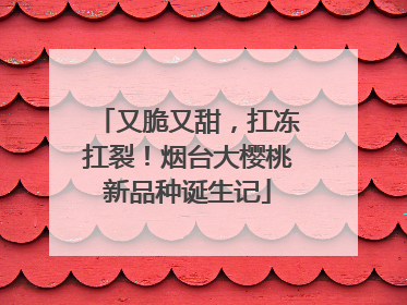 又脆又甜，扛冻扛裂！烟台大樱桃新品种诞生记