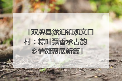 双牌县泷泊镇观文口村：粽叶飘香承古韵 乡情凝聚展新篇
