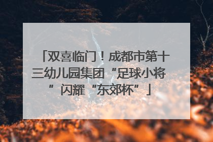 双喜临门！成都市第十三幼儿园集团“足球小将”闪耀“东郊杯”