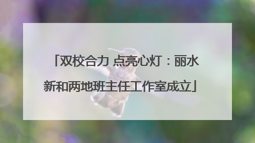 双校合力 点亮心灯：丽水新和两地班主任工作室成立