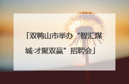 双鸭山市举办“智汇煤城·才聚双赢”招聘会