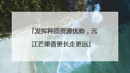 发挥种质资源优势，元江芒果香更长走更远