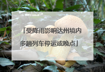 受降雨影响达州境内多趟列车停运或晚点
