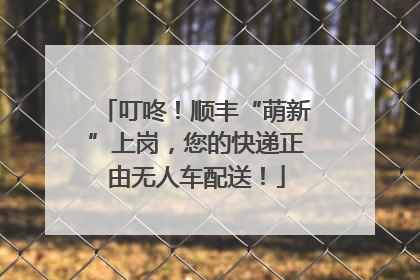 叮咚！顺丰“萌新”上岗，您的快递正由无人车配送！