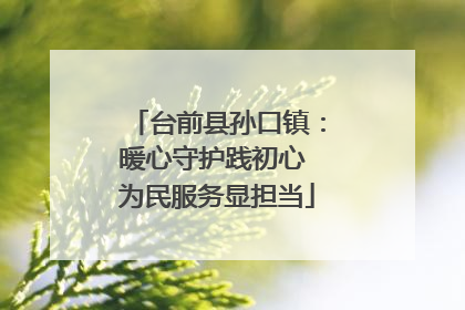 台前县孙口镇：暖心守护践初心 为民服务显担当