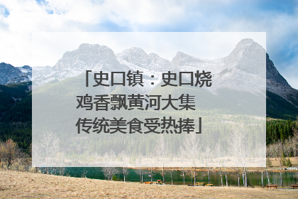 史口镇：史口烧鸡香飘黄河大集 传统美食受热捧