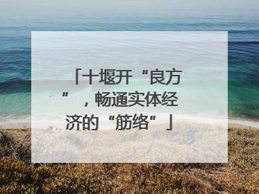 十堰开“良方”，畅通实体经济的“筋络”