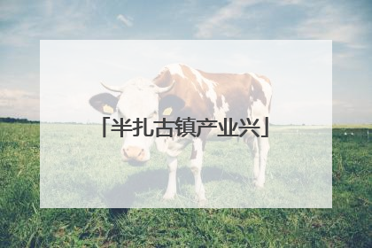 半扎古镇产业兴