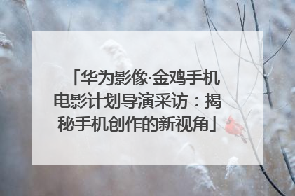 华为影像·金鸡手机电影计划导演采访：揭秘手机创作的新视角