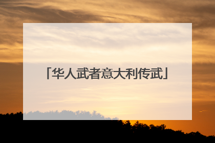 华人武者意大利传武