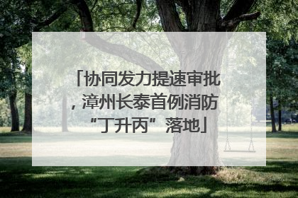 协同发力提速审批，漳州长泰首例消防“丁升丙”落地