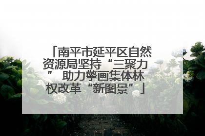 南平市延平区自然资源局坚持“三聚力” 助力擎画集体林权改革“新图景”