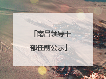 南昌领导干部任前公示