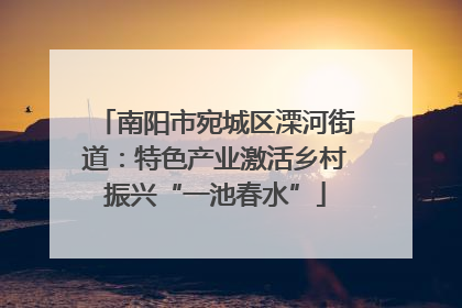 南阳市宛城区溧河街道：特色产业激活乡村振兴“一池春水”