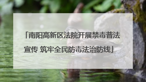 南阳高新区法院开展禁毒普法宣传 筑牢全民防毒法治防线