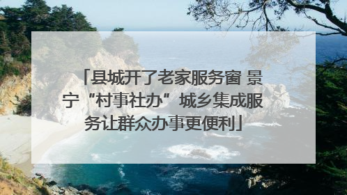县城开了老家服务窗 景宁“村事社办”城乡集成服务让群众办事更便利