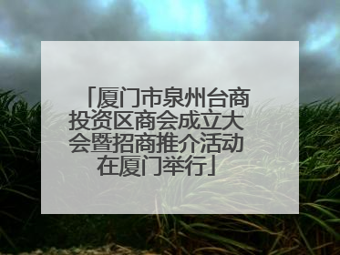 厦门市泉州台商投资区商会成立大会暨招商推介活动在厦门举行