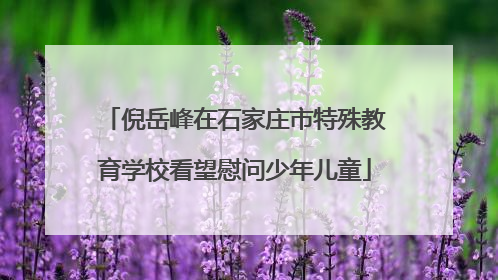 倪岳峰在石家庄市特殊教育学校看望慰问少年儿童