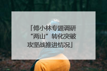傅小林专题调研“两山”转化突破攻坚战推进情况