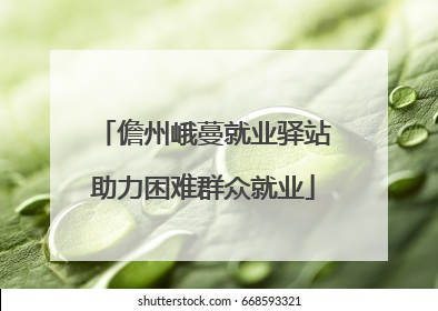 儋州峨蔓就业驿站助力困难群众就业