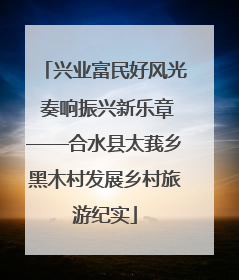 兴业富民好风光 奏响振兴新乐章——合水县太莪乡黑木村发展乡村旅游纪实
