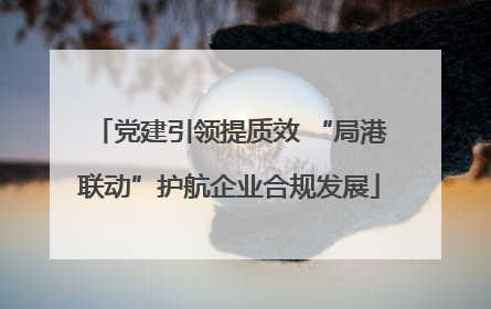 党建引领提质效 “局港联动”护航企业合规发展