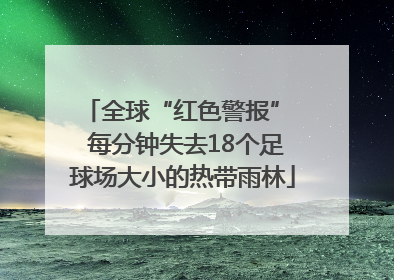 全球“红色警报”  每分钟失去18个足球场大小的热带雨林