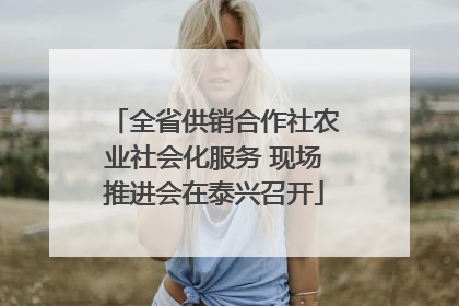 全省供销合作社农业社会化服务 现场推进会在泰兴召开