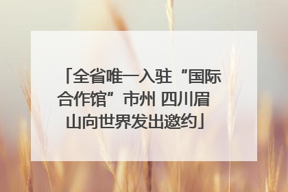 全省唯一入驻“国际合作馆”市州 四川眉山向世界发出邀约