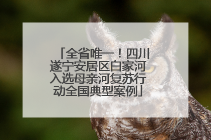 全省唯一！四川遂宁安居区白家河入选母亲河复苏行动全国典型案例