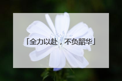 全力以赴，不负韶华