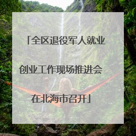 全区退役军人就业创业工作现场推进会在北海市召开
