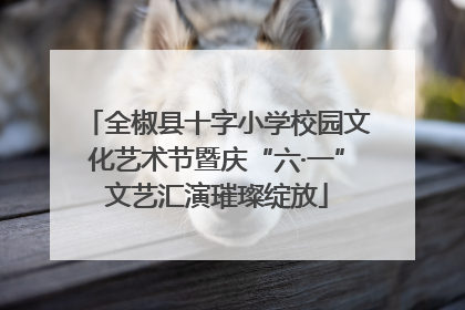 全椒县十字小学校园文化艺术节暨庆“六·一”文艺汇演璀璨绽放