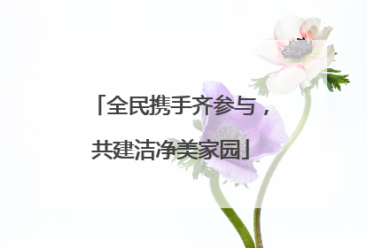 全民携手齐参与，共建洁净美家园