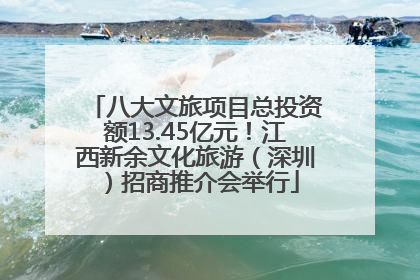 八大文旅项目总投资额13.45亿元！江西新余文化旅游（深圳）招商推介会举行