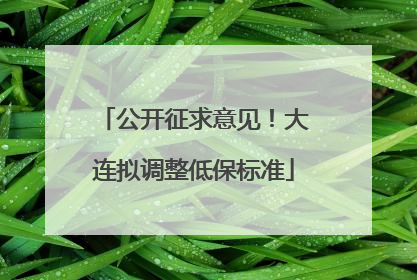 公开征求意见！大连拟调整低保标准
