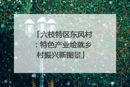 六枝特区东风村：特色产业绘就乡村振兴新图景