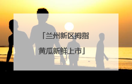 兰州新区拇指黄瓜新鲜上市