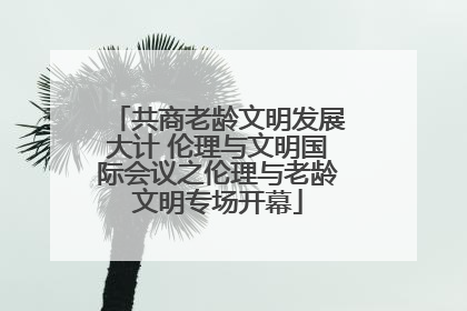 共商老龄文明发展大计 伦理与文明国际会议之伦理与老龄文明专场开幕