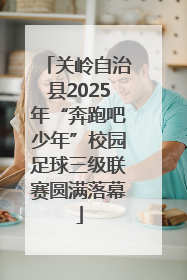 关岭自治县2025年“奔跑吧少年”校园足球三级联赛圆满落幕