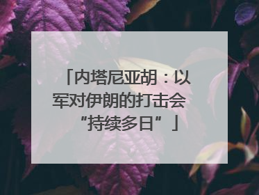 内塔尼亚胡：以军对伊朗的打击会“持续多日”
