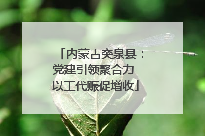 内蒙古突泉县：党建引领聚合力 以工代赈促增收