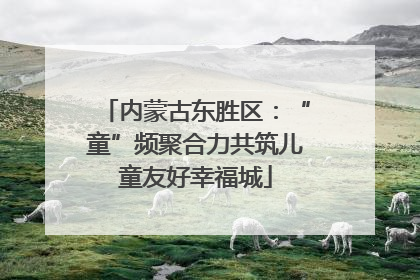 内蒙古东胜区：“童”频聚合力共筑儿童友好幸福城